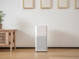 Buy Xiaomi Mi Air Purifier 2 Rs. 8999 (Axis Bank Cards) or Rs. 9999, FlipKart
